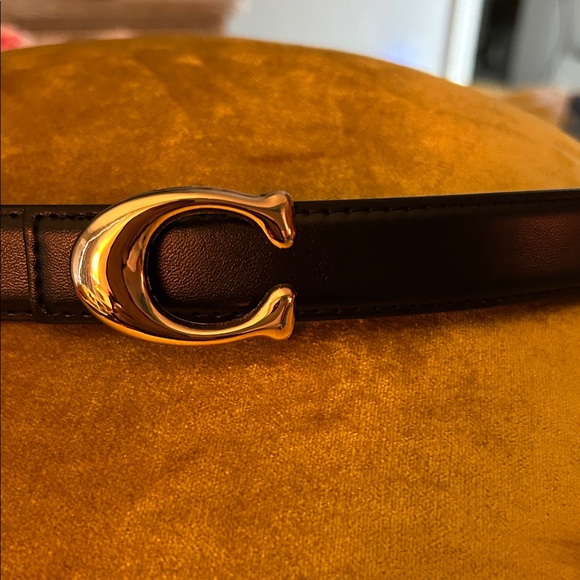 Black Leather Belt with Gold Buckle - Picture 4 of 7